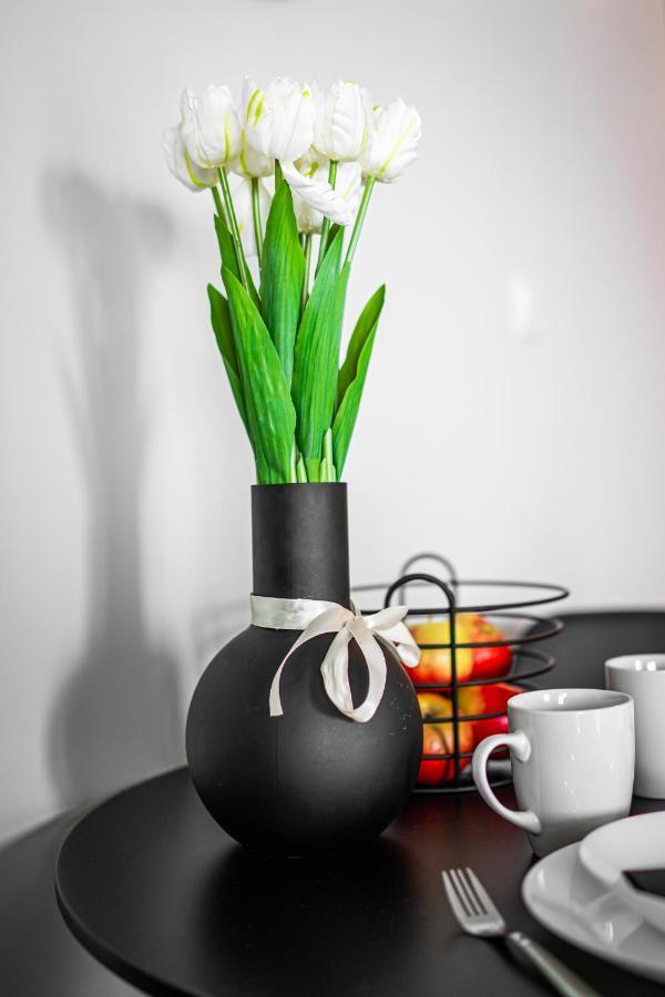 Turkusowe Tarasy Apartament Apartman Czeladź Kültér fotó
